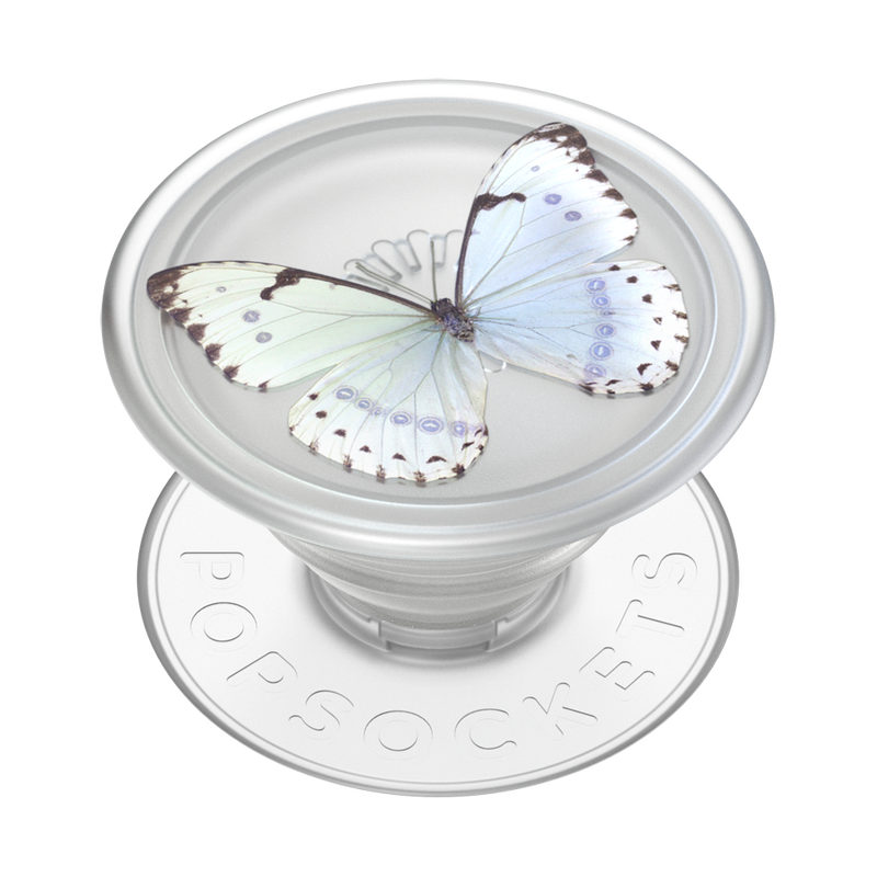 PlantCore Whisper Moth image number 1